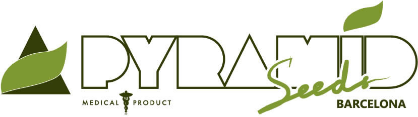 PyramidSeeds_logo