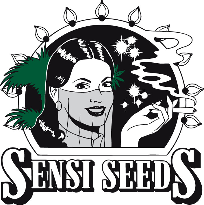 sensi